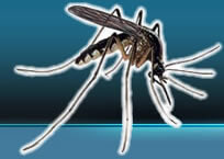 QM滅蚊專家,滅蚊機,滅蚊器,滅蚊燈,環保滅蚊,滅蚊,太陽能滅蚊燈